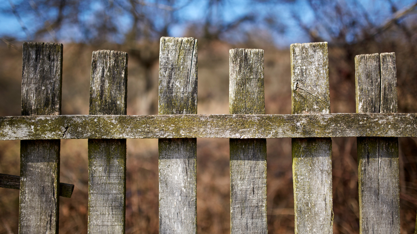 Untitled-design-2023-08-14T102654.638 fence repair vs replacement